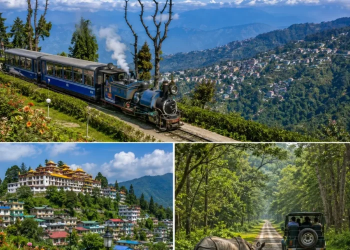 Darjeeling, Kalimpong & Dooars Tour Package featuring Tiger Hill, tea gardens, Kalimpong monasteries and Dooars wildlife safari