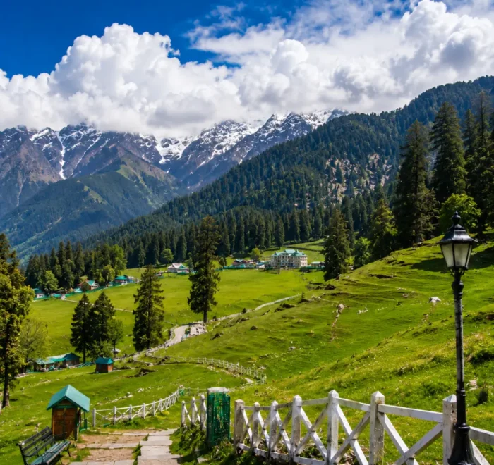 Green meadows of Dalhousie with pine forests and snow-capped Himalayan mountains