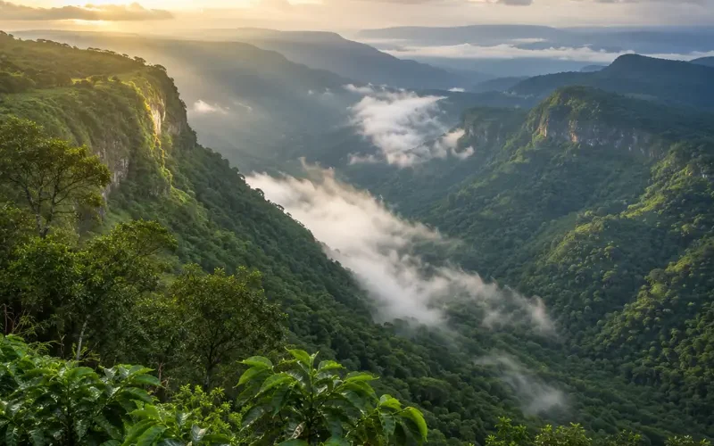 Melghat Tiger and Highland Retreat featuring forested Satpura hills, wildlife habitat and scenic landscapes in Maharashtra