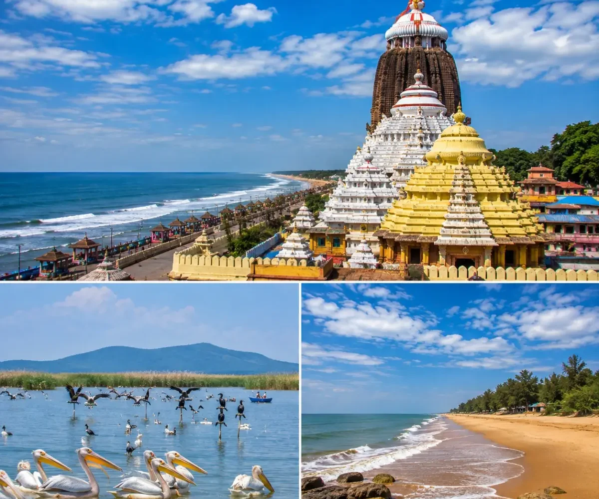 Puri Chilika Lake Gopalpur Tour Package featuring Jagannath Temple, Chilika Lake, Satapada Dolphins, Gopalpur Beach and Golden Beach Puri.