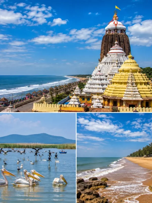 Puri Chilika Lake Gopalpur Tour Package featuring Jagannath Temple, Chilika Lake, Satapada Dolphins, Gopalpur Beach and Golden Beach Puri.