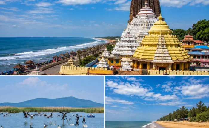 Puri Chilika Lake Gopalpur Tour Package featuring Jagannath Temple, Chilika Lake, Satapada Dolphins, Gopalpur Beach and Golden Beach Puri.