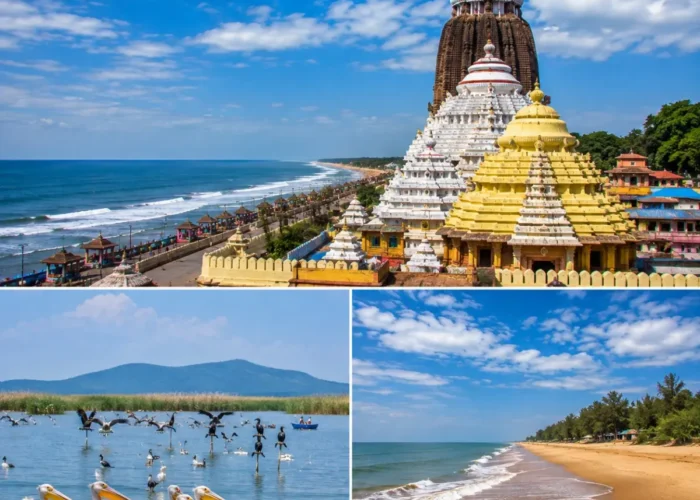 Puri Chilika Lake Gopalpur Tour Package featuring Jagannath Temple, Chilika Lake, Satapada Dolphins, Gopalpur Beach and Golden Beach Puri.