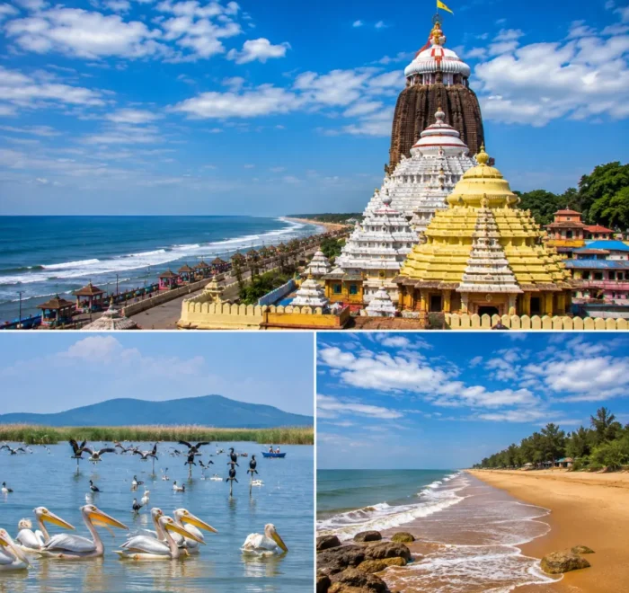 Puri Chilika Lake Gopalpur Tour Package featuring Jagannath Temple, Chilika Lake, Satapada Dolphins, Gopalpur Beach and Golden Beach Puri.