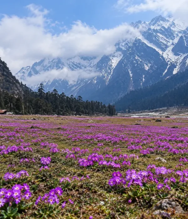 Sikkim Grand Tour featuring Gangtok, Lachung and Pelling with Himalayan mountains, valleys, monasteries and waterfalls