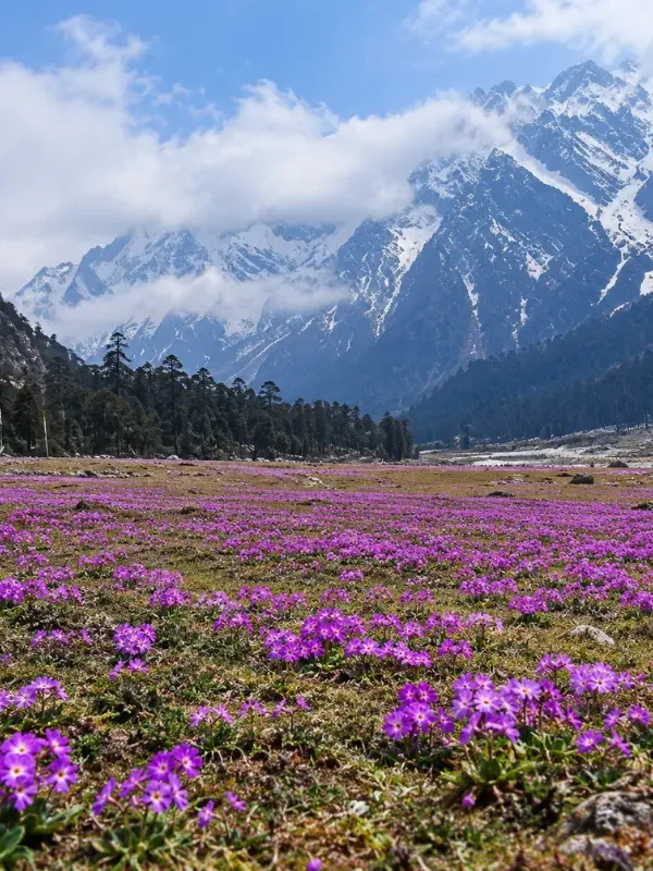 Sikkim Grand Tour featuring Gangtok, Lachung and Pelling with Himalayan mountains, valleys, monasteries and waterfalls