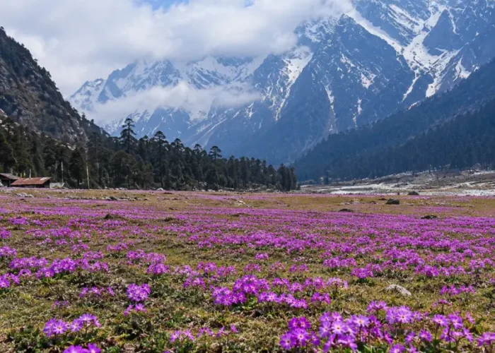 Sikkim Grand Tour featuring Gangtok, Lachung and Pelling with Himalayan mountains, valleys, monasteries and waterfalls
