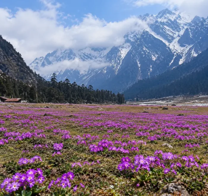 Sikkim Grand Tour featuring Gangtok, Lachung and Pelling with Himalayan mountains, valleys, monasteries and waterfalls