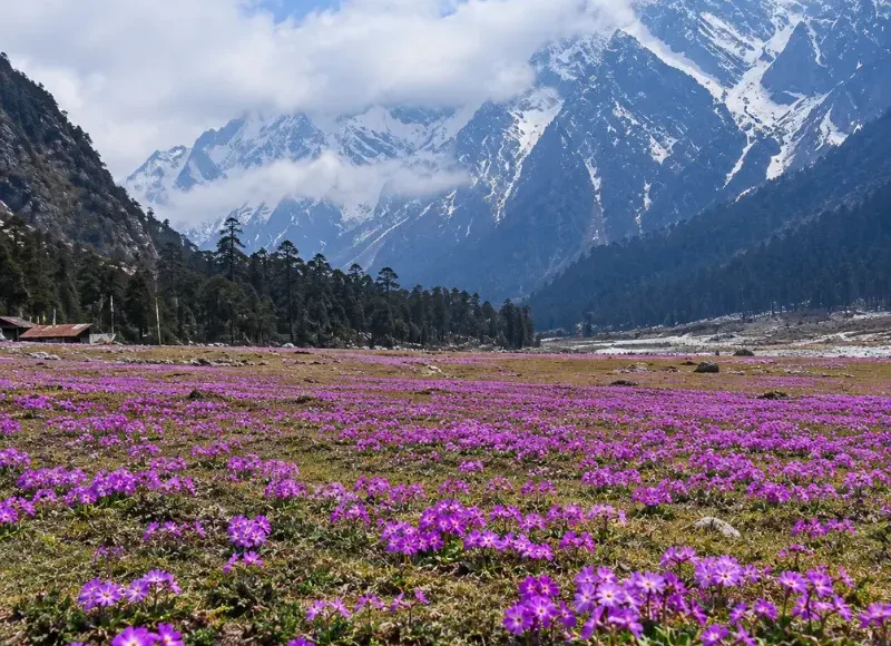 Sikkim Grand Tour featuring Gangtok, Lachung and Pelling with Himalayan mountains, valleys, monasteries and waterfalls