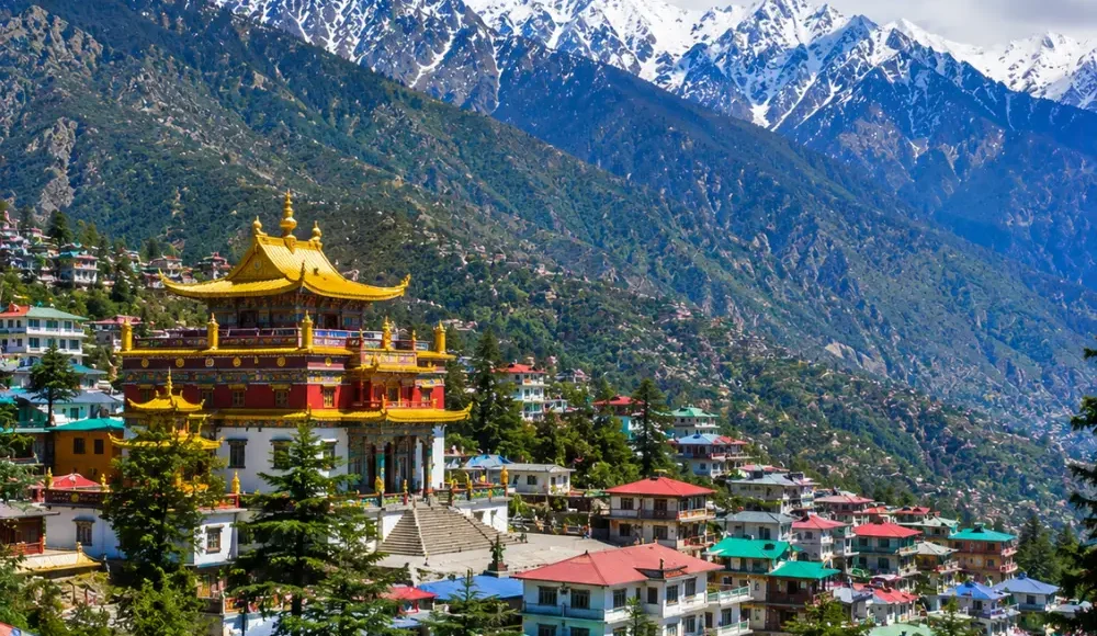 Dharamshala with Dhauladhar mountains, pine forests, Tibetan monastery and clear morning Himalayan views.