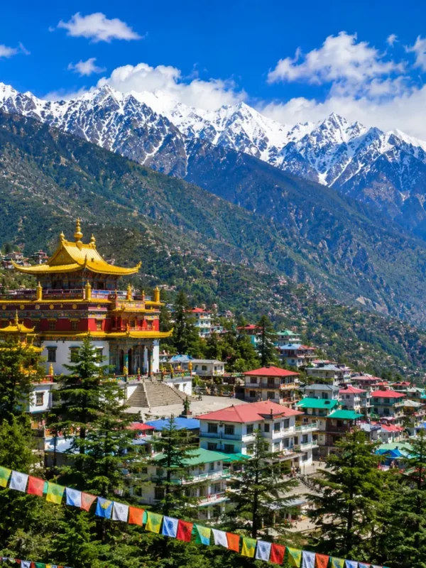 Dharamshala with Dhauladhar mountains, pine forests, Tibetan monastery and clear morning Himalayan views.