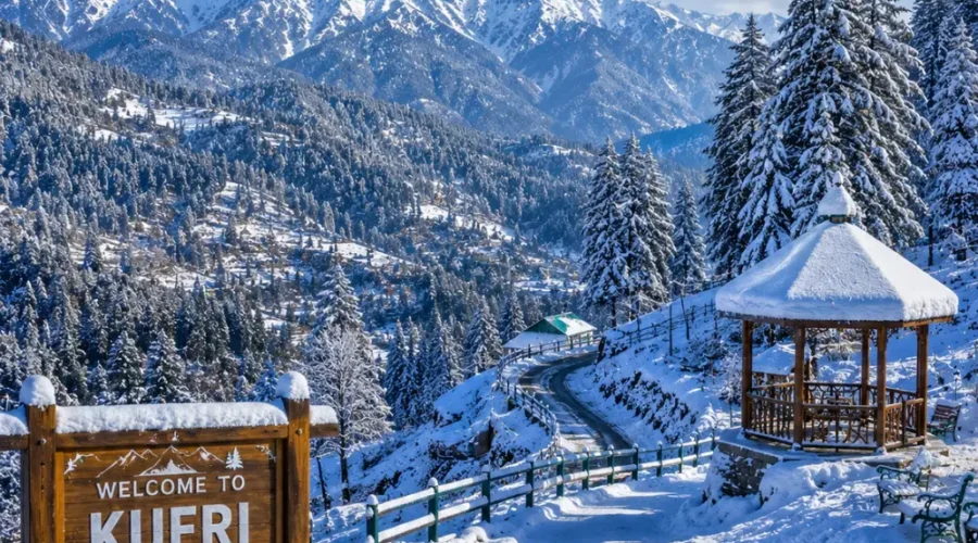 Kufri hill station with pine forests, snowy Himalayan views, green slopes and clear morning mountain scenery near Shimla.