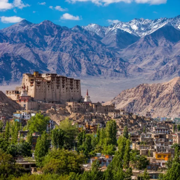 Scenic Leh town in Ladakh with historic palace, green valley, traditional buildings, and snow-capped mountains.