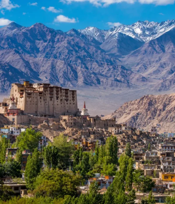 Scenic Leh town in Ladakh with historic palace, green valley, traditional buildings, and snow-capped mountains.