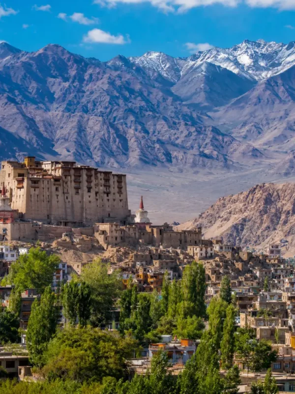Scenic Leh town in Ladakh with historic palace, green valley, traditional buildings, and snow-capped mountains.