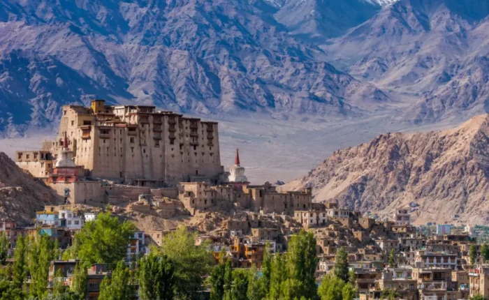 Scenic Leh town in Ladakh with historic palace, green valley, traditional buildings, and snow-capped mountains.