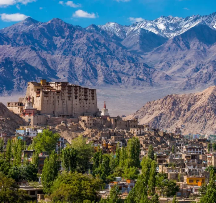 Scenic Leh town in Ladakh with historic palace, green valley, traditional buildings, and snow-capped mountains.