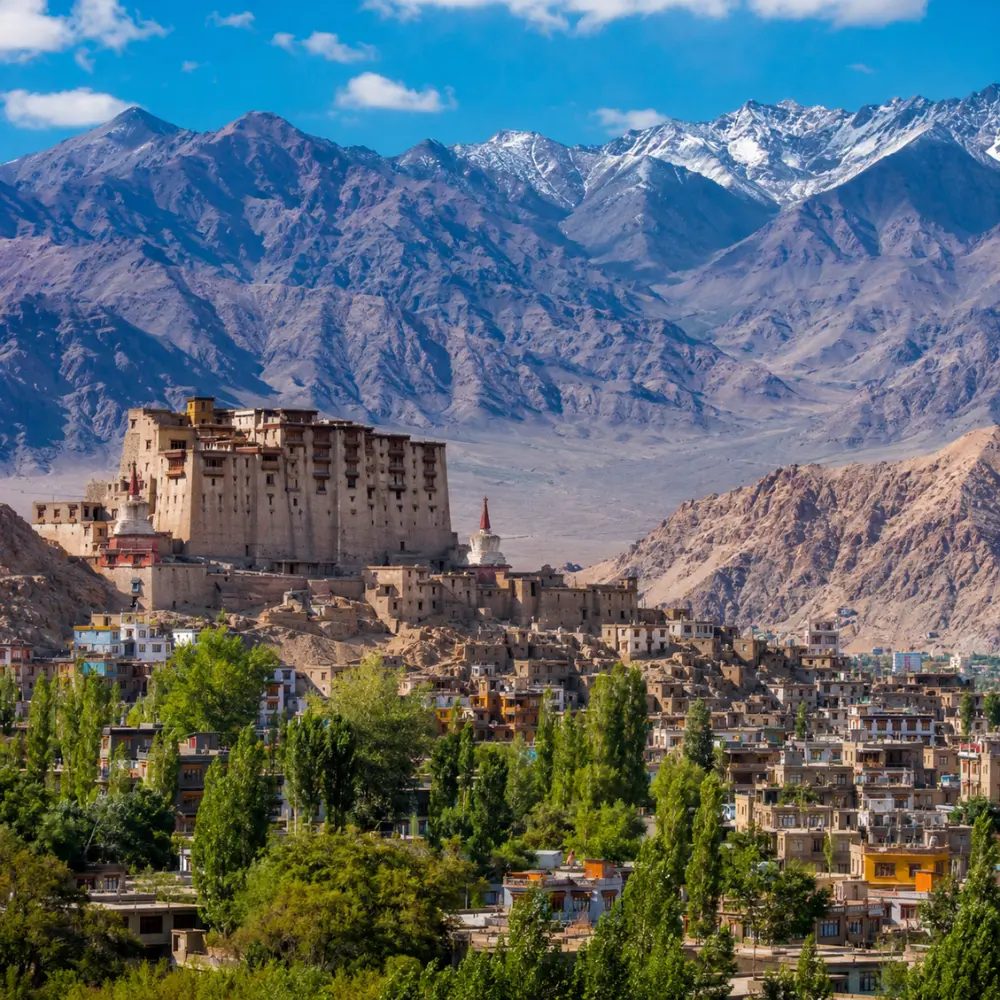 Scenic Leh town in Ladakh with historic palace, green valley, traditional buildings, and snow-capped mountains.