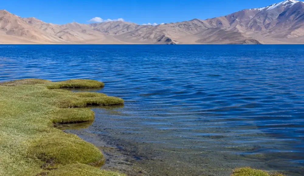 Serene Tso Moriri lake in Ladakh with deep blue water, green marshland, clear sky, and distant mountains.