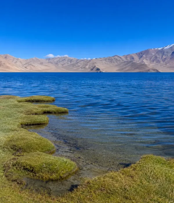 Serene Tso Moriri lake in Ladakh with deep blue water, green marshland, clear sky, and distant mountains.