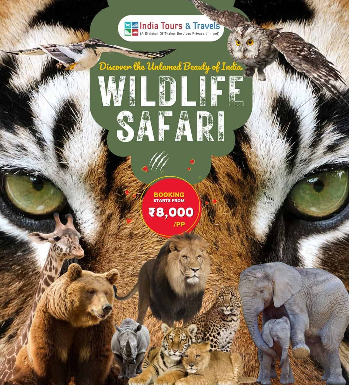 Vibrant wildlife safari poster featuring majestic Indian animals such as tigers, elephants, lions, giraffes, and leopards, promoting wildlife tours and safaris in India with affordable packages starting from ₹8,000.