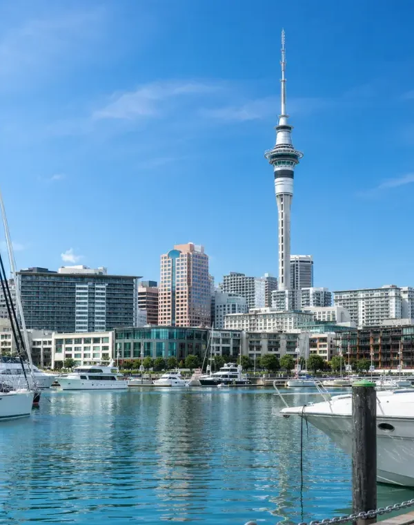 Bright daytime view of Auckland waterfront with Sky Tower, modern skyline, luxury yachts, and calm marina waters.