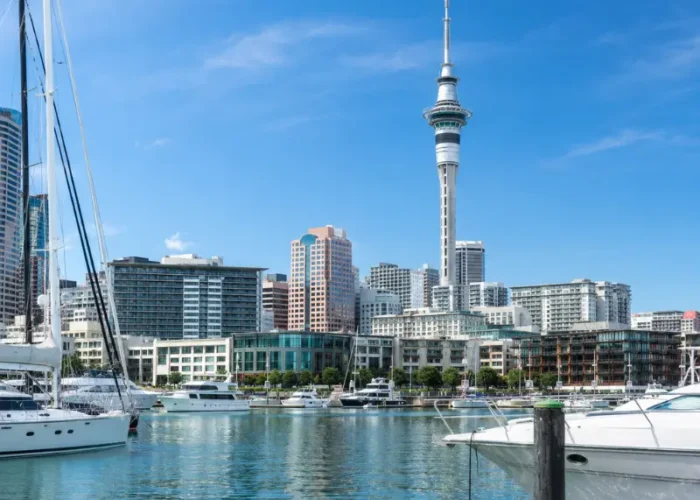 Bright daytime view of Auckland waterfront with Sky Tower, modern skyline, luxury yachts, and calm marina waters.