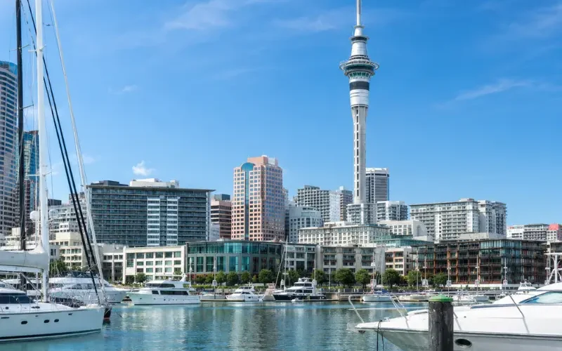 Bright daytime view of Auckland waterfront with Sky Tower, modern skyline, luxury yachts, and calm marina waters.