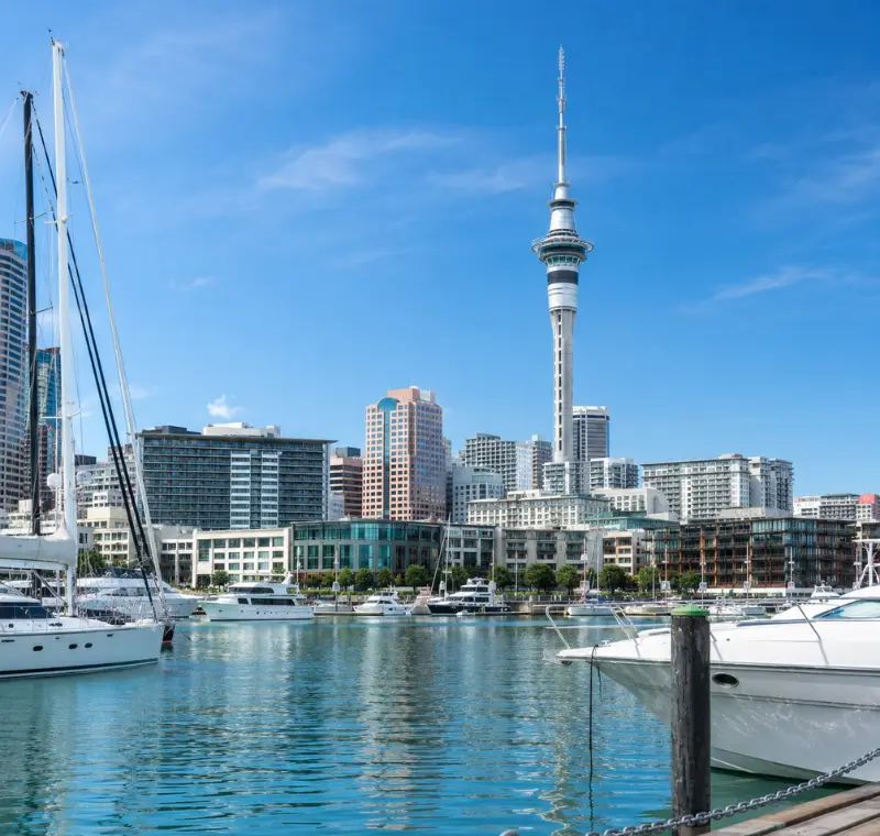 Bright daytime view of Auckland waterfront with Sky Tower, modern skyline, luxury yachts, and calm marina waters.