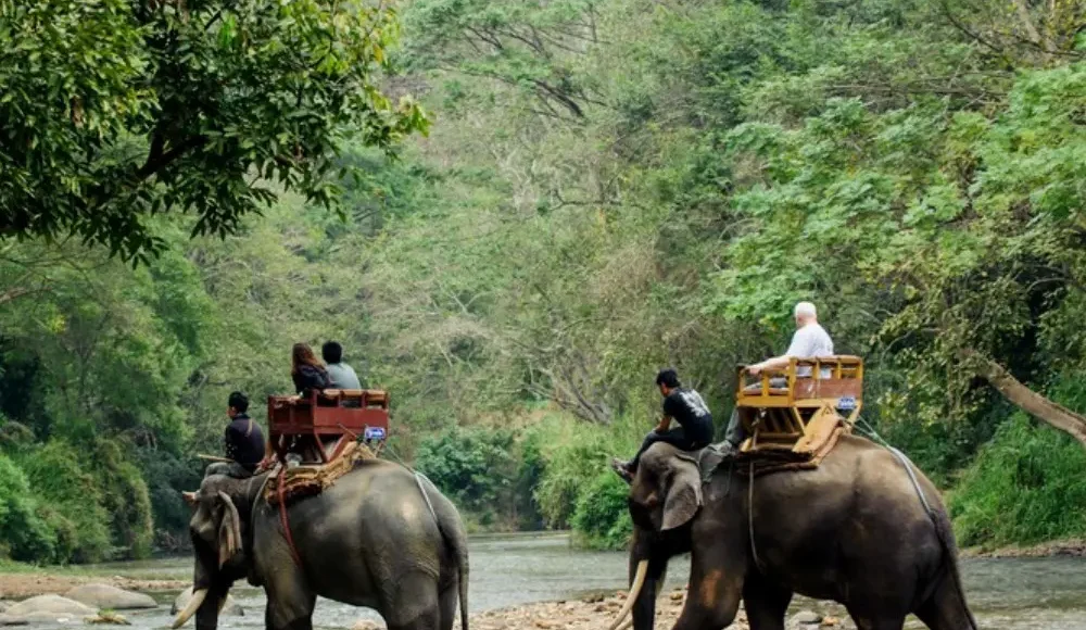 Dooars Wildlife and Nature Package with elephant safari, forest river, green jungle and scenic North Bengal wildlife