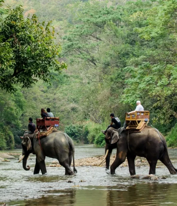 Dooars Wildlife and Nature Package with elephant safari, forest river, green jungle and scenic North Bengal wildlife