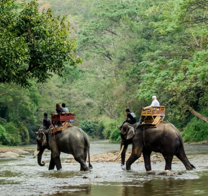 Dooars Wildlife and Nature Package with elephant safari, forest river, green jungle and scenic North Bengal wildlife