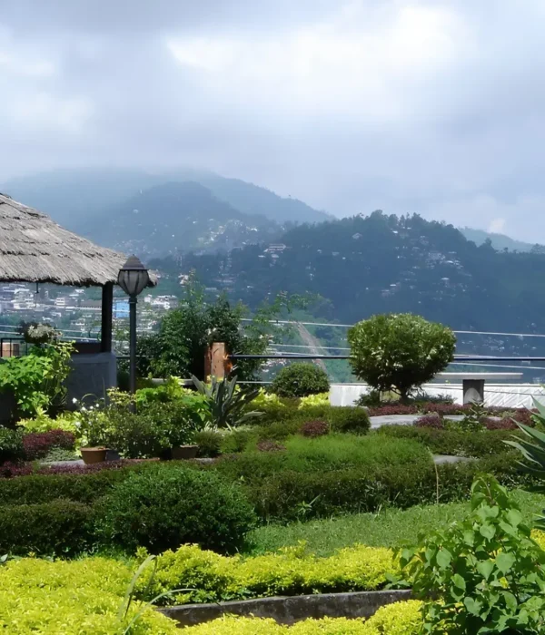 Gangtok Kalimpong Darjeeling package with scenic hill garden, misty mountains, lush greenery and peaceful Himalayan views