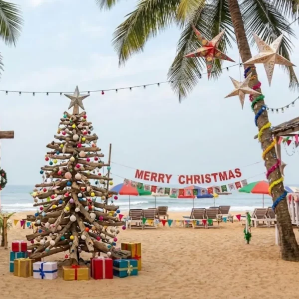 Goa Festival Special Tour
