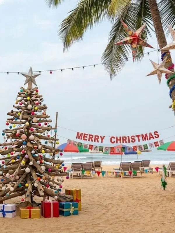 Goa Festival Special Tour