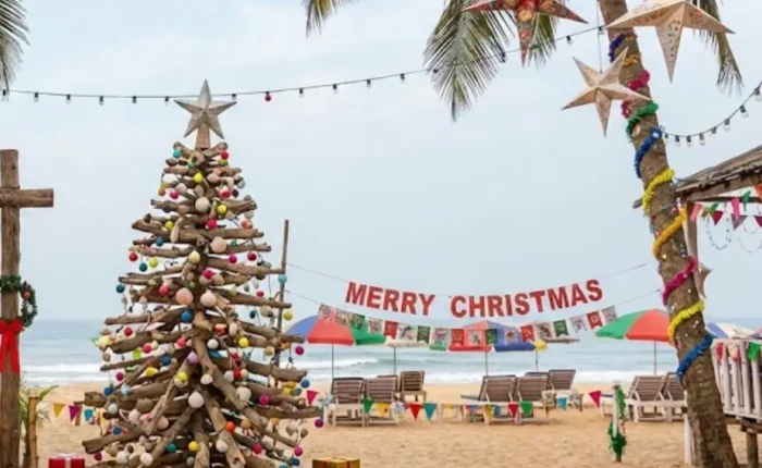 Goa Festival Special Tour