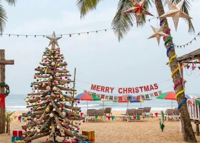 Goa Festival Special Tour