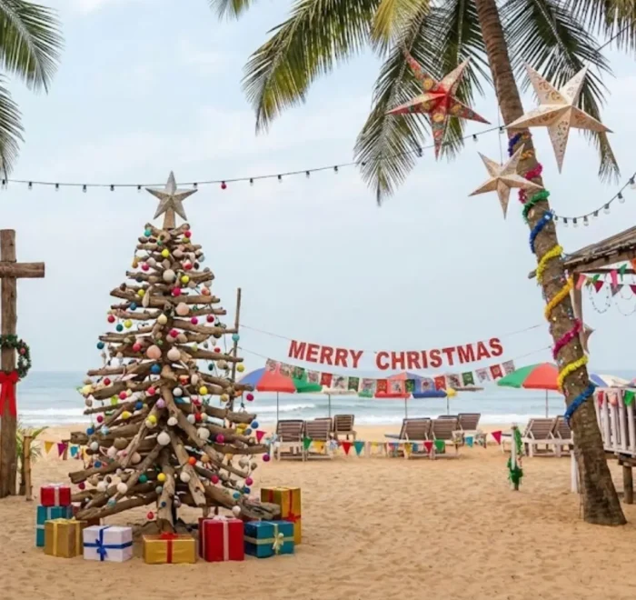 Goa Festival Special Tour