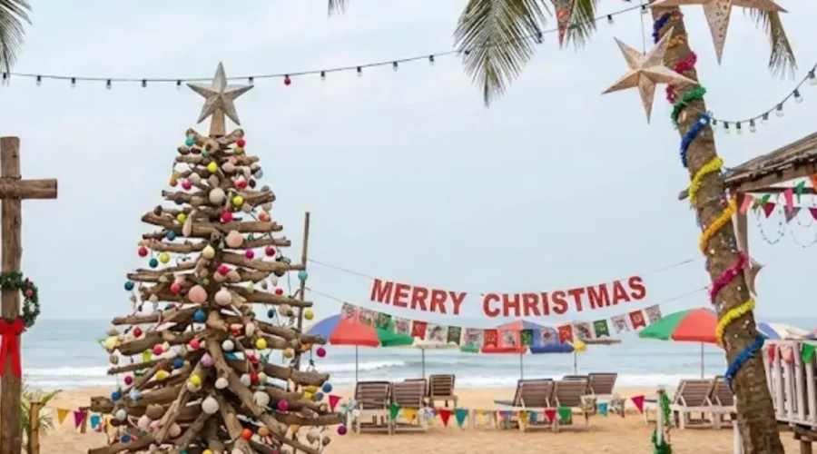 Goa Festival Special Tour