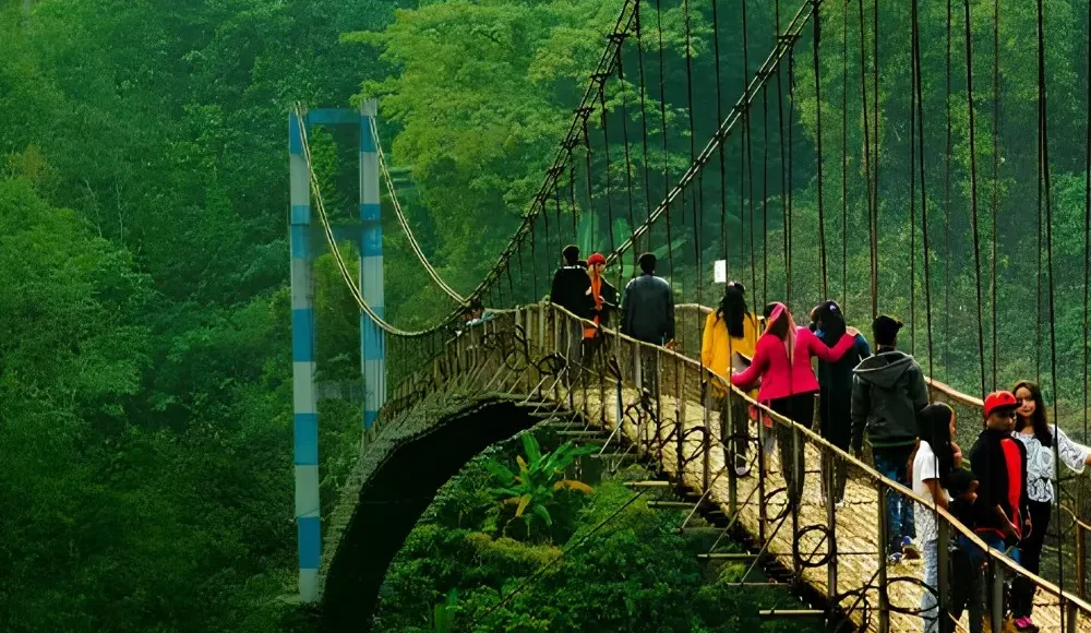 Grand Seven Sisters Explorer with scenic suspension bridge, lush green forest and adventurous Northeast India landscape