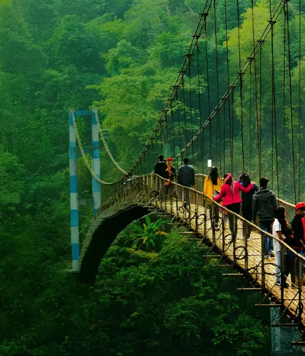 Grand Seven Sisters Explorer with scenic suspension bridge, lush green forest and adventurous Northeast India landscape