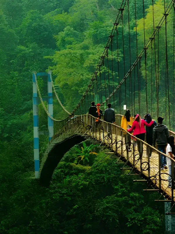 Grand Seven Sisters Explorer with scenic suspension bridge, lush green forest and adventurous Northeast India landscape