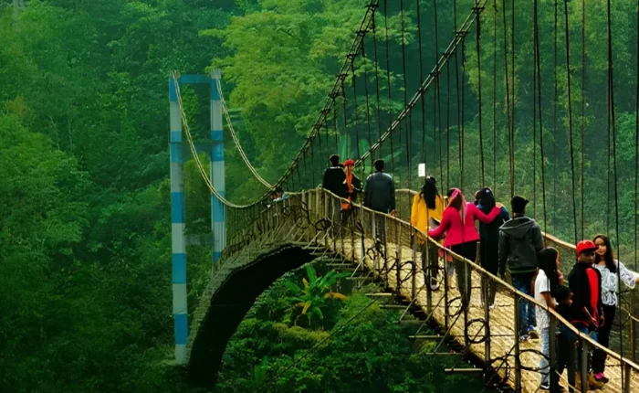 Grand Seven Sisters Explorer with scenic suspension bridge, lush green forest and adventurous Northeast India landscape