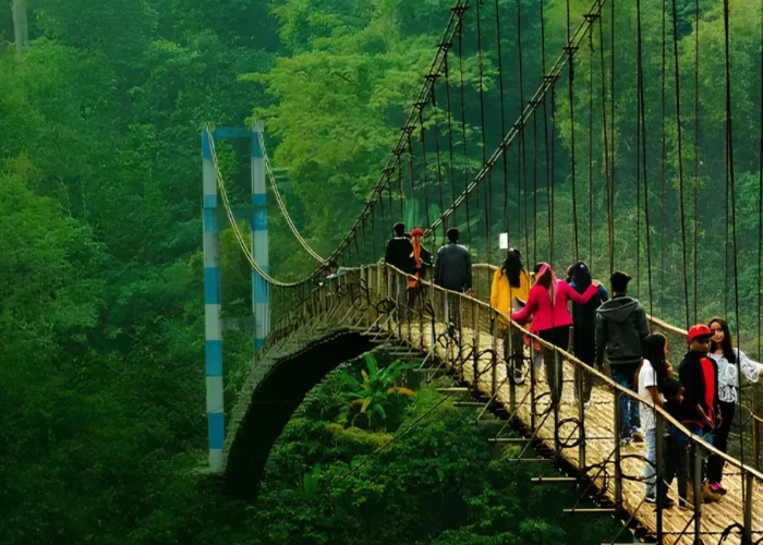 Grand Seven Sisters Explorer with scenic suspension bridge, lush green forest and adventurous Northeast India landscape
