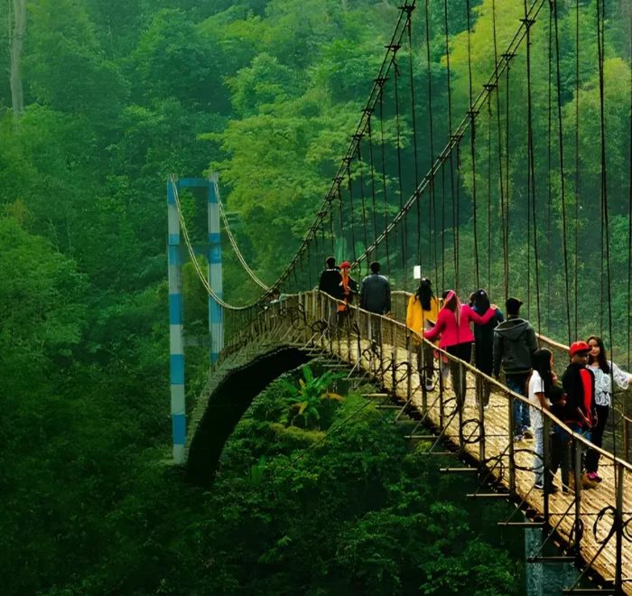 Grand Seven Sisters Explorer with scenic suspension bridge, lush green forest and adventurous Northeast India landscape