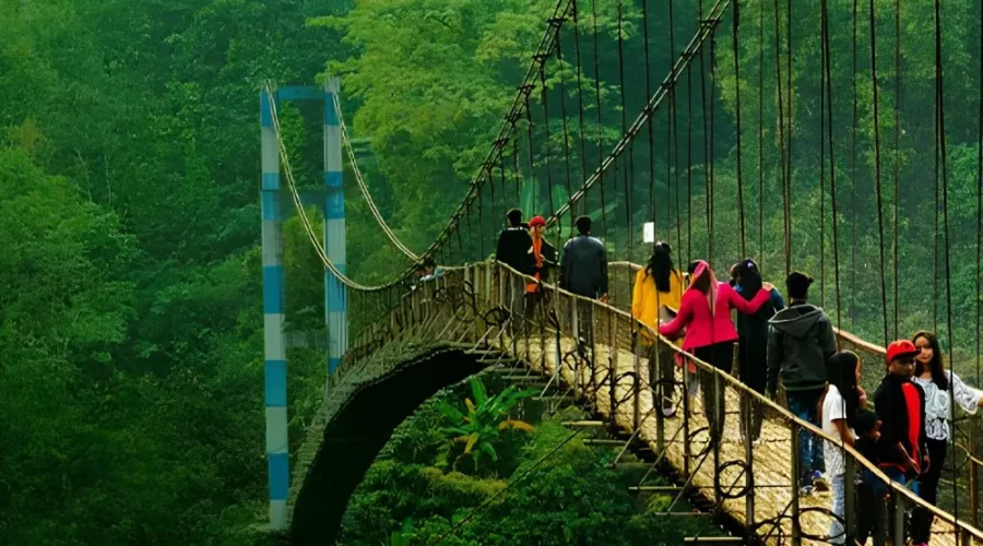 Grand Seven Sisters Explorer with scenic suspension bridge, lush green forest and adventurous Northeast India landscape