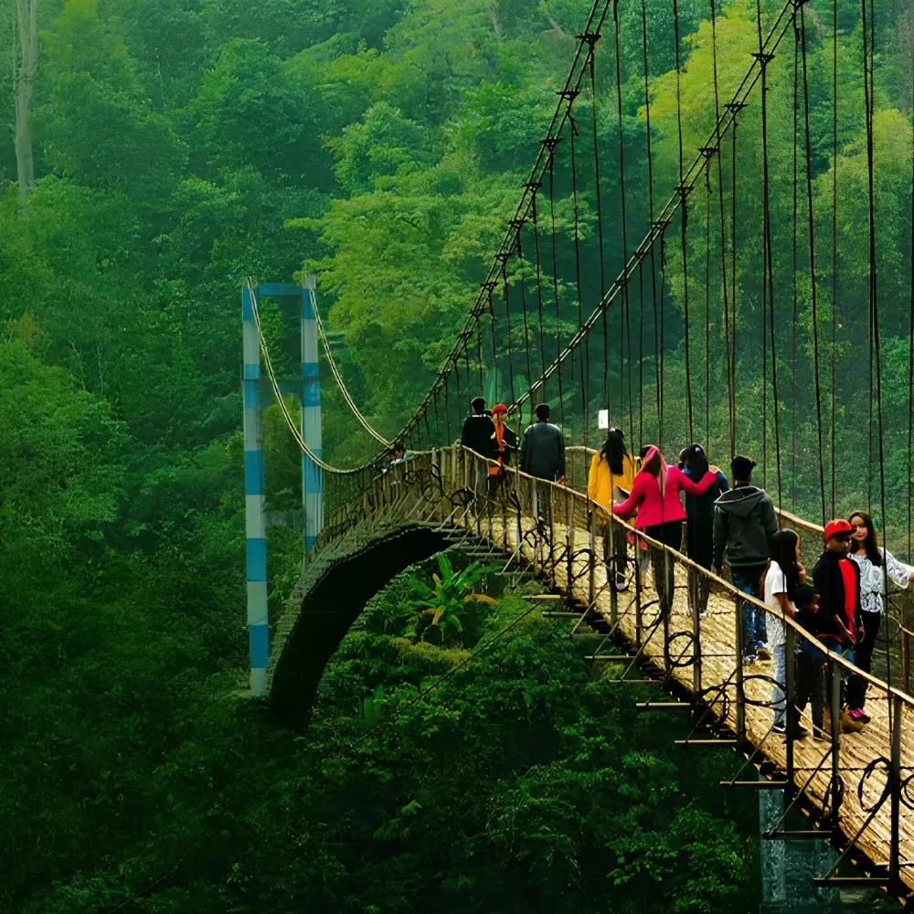 Grand Seven Sisters Explorer with scenic suspension bridge, lush green forest and adventurous Northeast India landscape