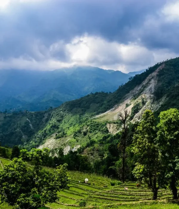 Grand West Bengal Explorer with green hills, cloudy sky, mountain valley and scenic North Bengal nature landscape