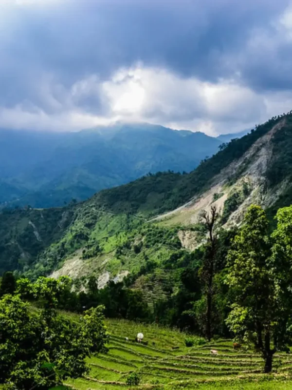 Grand West Bengal Explorer with green hills, cloudy sky, mountain valley and scenic North Bengal nature landscape