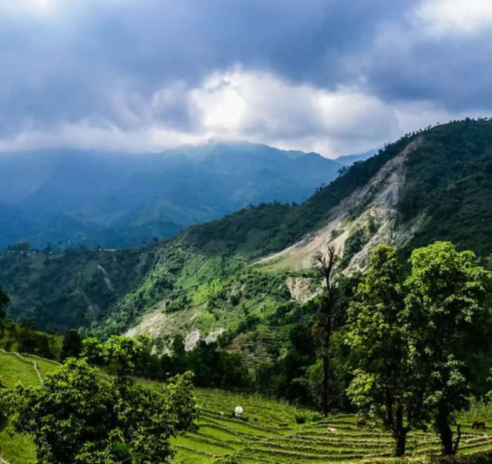 Grand West Bengal Explorer with green hills, cloudy sky, mountain valley and scenic North Bengal nature landscape